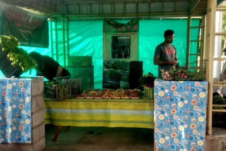 Continúa el éxito de la tradicional Feria Hortícola del Paseo de la Vida