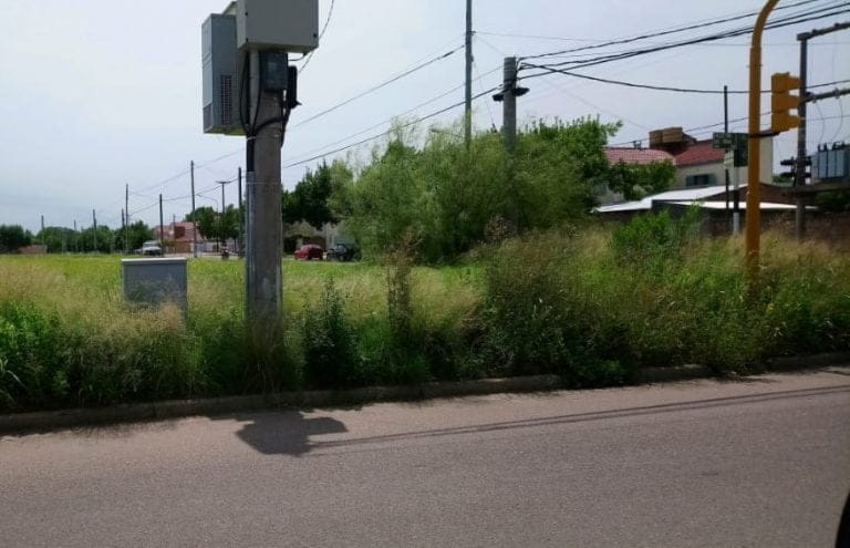 Reclamo recurrente: Vecinos piden limpieza de terreno