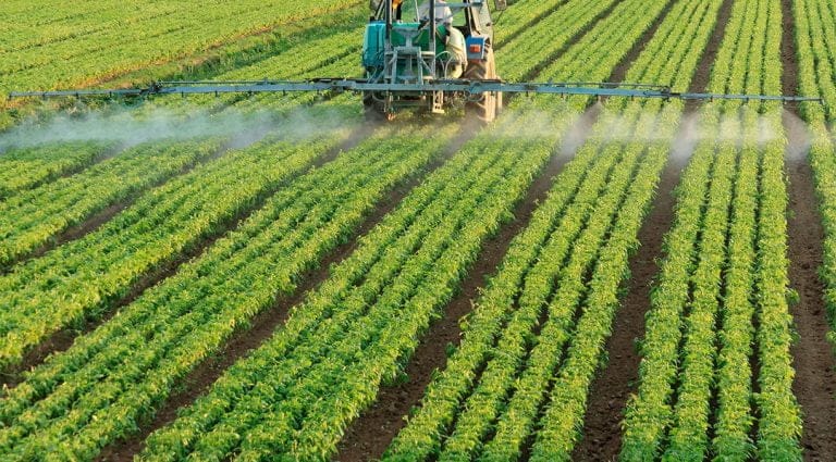 El gobierno finalmente prohibió la comercialización de agroquímicos en La Pampa