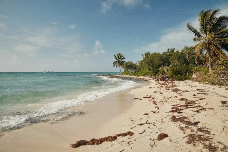Lanzan un concurso para vivir dos meses en las playas más paradisíacas del mundo con todo pago