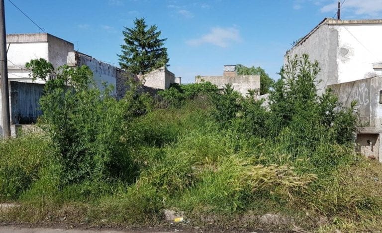 Los vecinos piquenses que no mantengan los pastos cortos y derrochen agua podrían ser multados