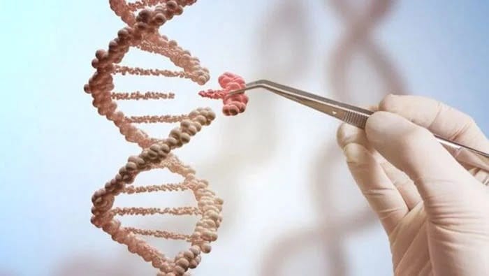Curaron de cáncer a seis pacientes en España con la novedosa terapia CAR-T