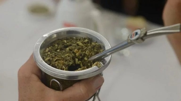 Prohíben una yerba mate a la que se le detectó salmonella, escherichia coli y otra bacteria venenosa