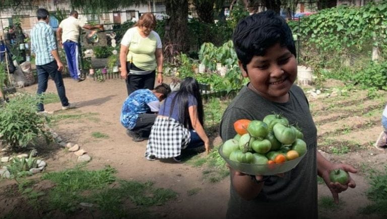 Premiaron a una escuela en Jujuy que limpió un baldío y lo convirtió en una huerta