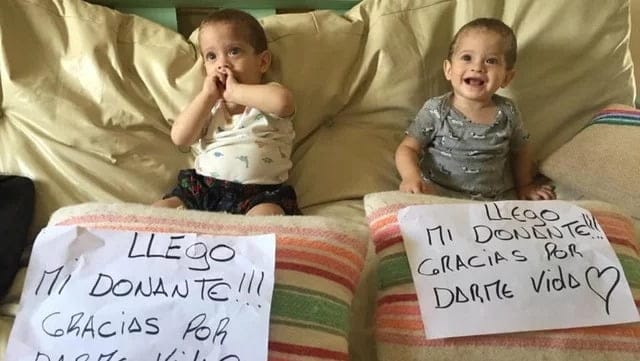 ¡Apareció una donante! Gemelos se preparan para el primer trasplante de médula simultáneo en el país
