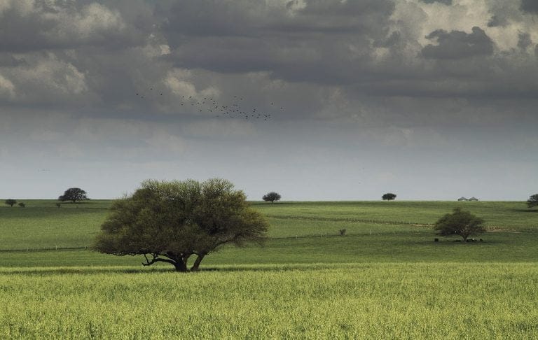 El alerta meteorológico por “lluvias y tormentas intensas” se extendió también al sur de La Pampa