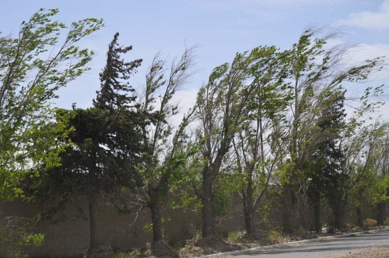Atención! Alerta meteorológica por vientos de hasta 80 km/h: SMN advierte un drástico cambio de clima y lluvias
