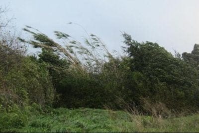 vientos fuertes con ráfagas – infopico.com