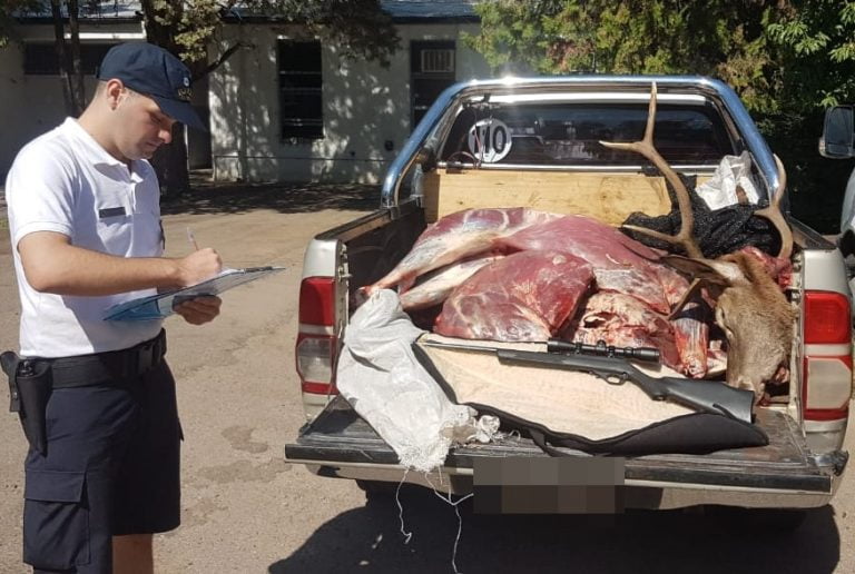 Caza Furtiva: Secuestran tres ciervos, un jabalí, armas y una camioneta