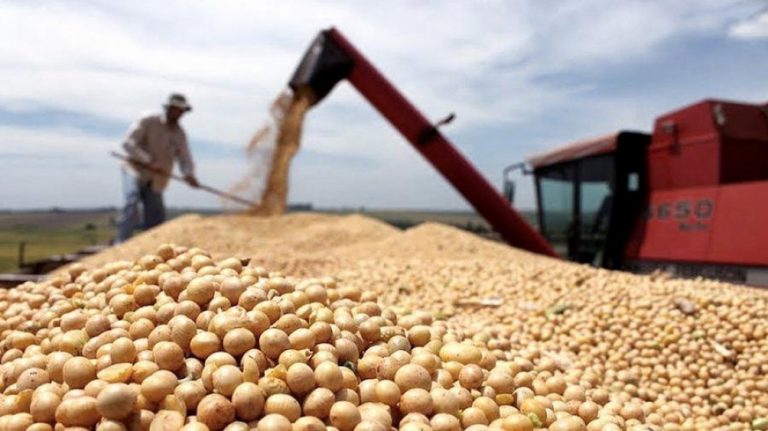 El campo en alerta por temor a una suba de 3 puntos para las retenciones a la soja