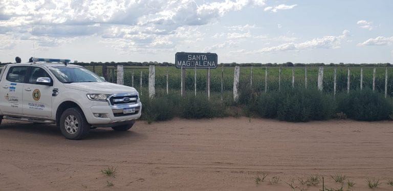 Robo de 20 animales vacunos en Castex: Se demoran dos personas y se secuestra una camioneta