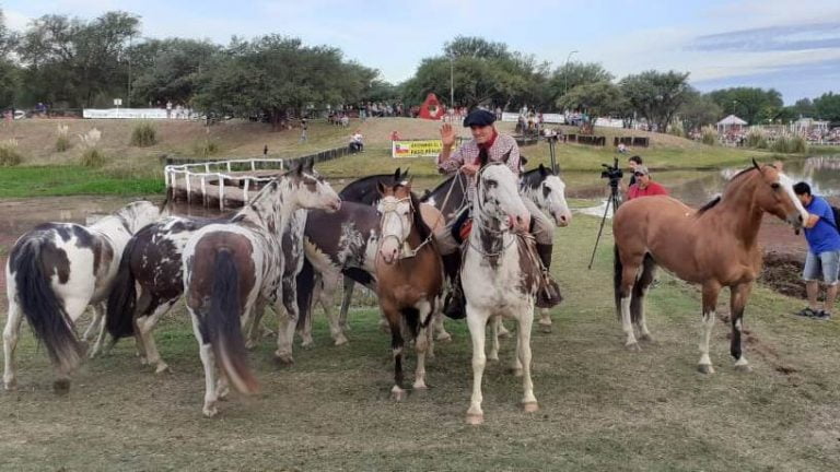 Gran fin de semana en la Fiesta Nacional de la Ganadería