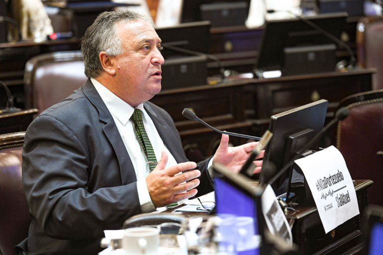 El senador Daniel Lovera sostuvo que “el 2020 será el año de consolidación de los derechos de las mujeres en Argentina”