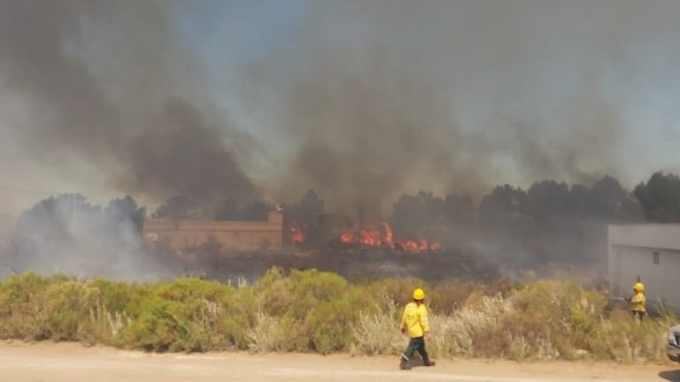 Intenso trabajo de Bomberos Voluntarios ante un incendio de grandes proporciones en Pehuen Có