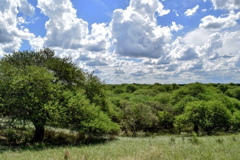 Se dan los primeros pasos hacia la creación de un nuevo Parque Nacional en La Pampa
