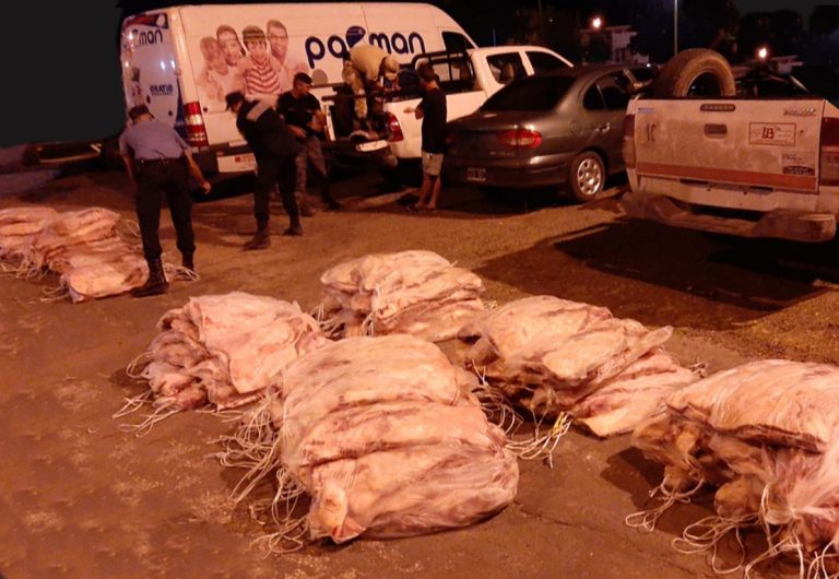 Secuestraron  185 costillares: Se estima que el valor de la carne, que será incinerada, superaría el millón de pesos
