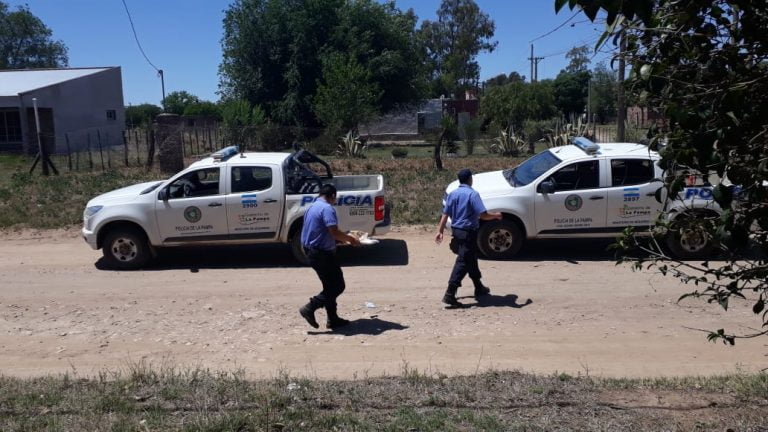 Dos años de prisión para un hombre que cometió tres hechos de abigeato cerca de  Miguel Cané