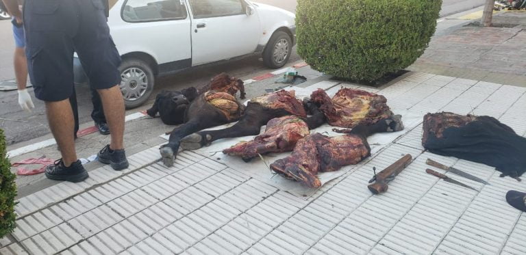 La Policía de Castex demoró a tres hombres y una mujer que llevaban un animal faenado de 250 kg en su auto: Además les secuestraron dinero, armas y droga