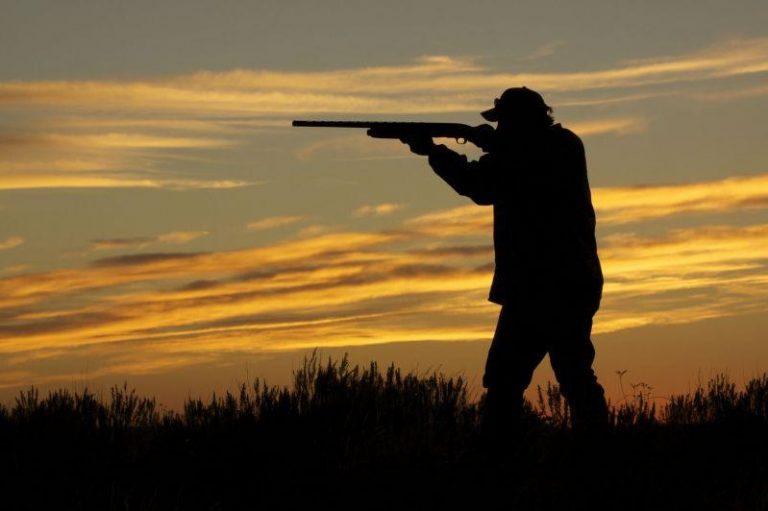 Desde este domingo estará habilitada la Temporada de Caza 2020 en La Pampa
