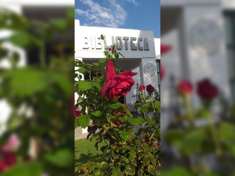 Convocan a talleristas para la Biblioteca de Intendente Alvear