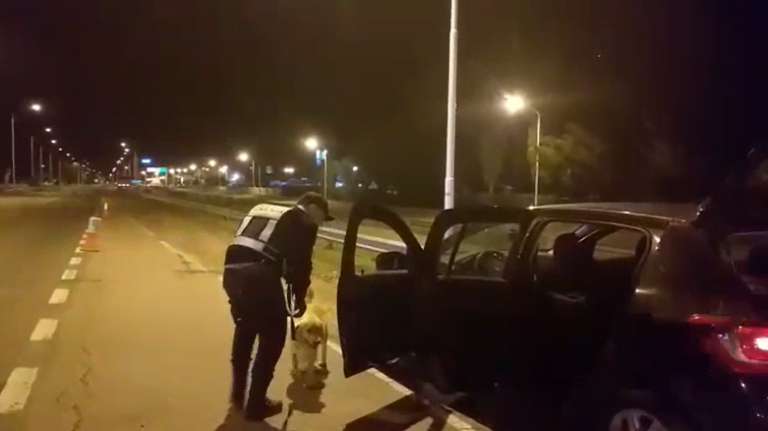 El perro Catriel hizo su “debut” detectando marihuana en un operativo realizado en el puesto caminero de Castex