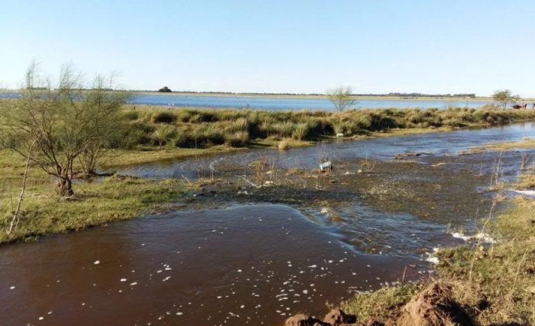 La Pampa participará de la próxima reunión del Comité de Cuenca del río Quinto