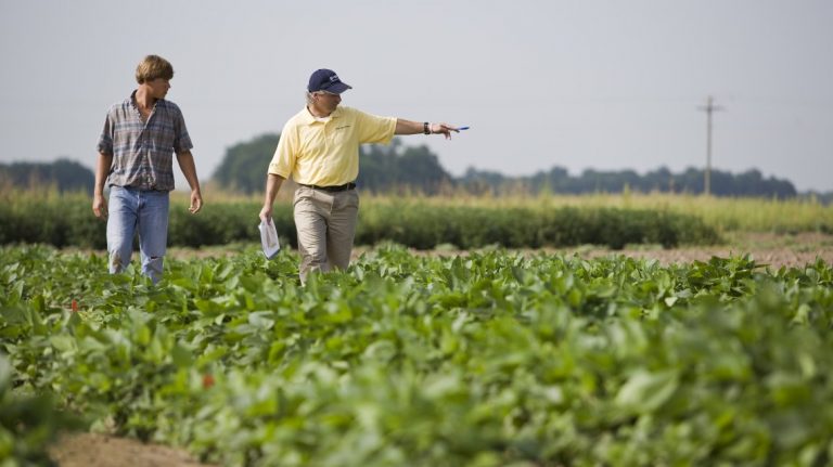 El campo realizará un paro de cuatro días por el aumento de las retenciones a la soja