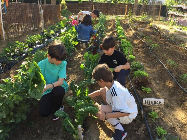 Presentaron un proyecto para incluir a las huertas como un recurso pedagógico en las escuelas de La Pampa
