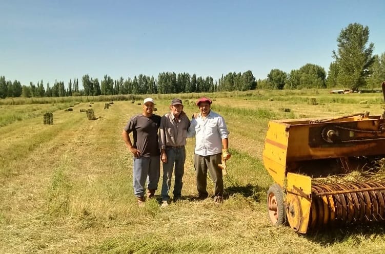 Reactivaron 25 chacras y comenzaron a diversificar la producción en 25 de Mayo