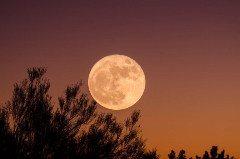 Preparate para ver hoy la impresionante “Superluna de Gusano”
