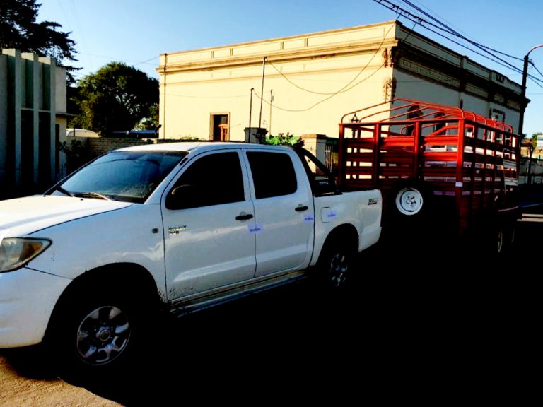 Detuvieron a dos hombres por robar 30 terneros en una zona rural de Santa Isabel