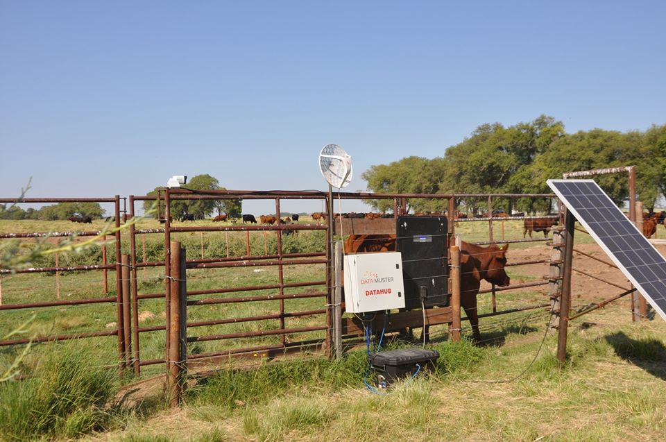La Estación Agropecuaria Experimental INTA de Anguil comenzó con las