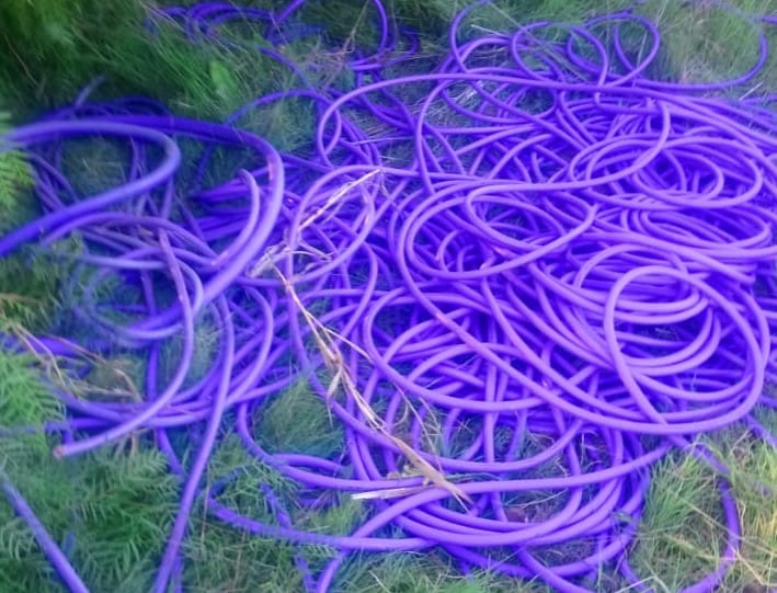 Robaron cable subterráneo del depósito de Corpico por 150.000 pesos