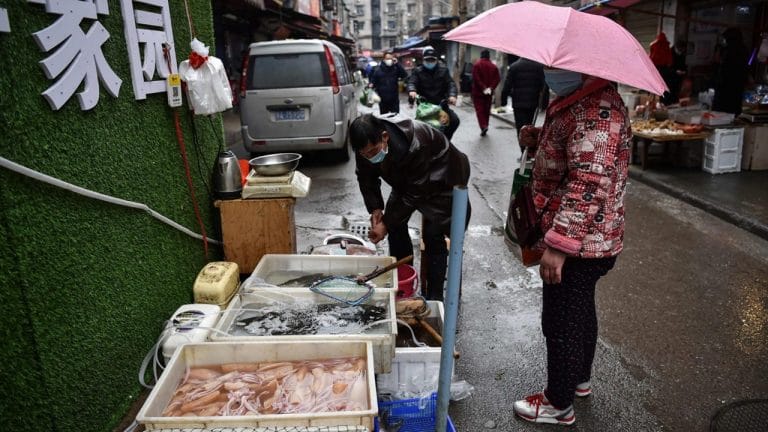 Aseguran que en China siguen vendiendo murciélagos y animales domésticos
