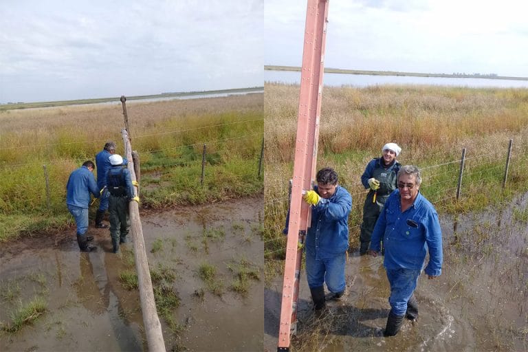 Cuadrilla de CORPICO realizó trabajos en Vertiz y Speluzzi