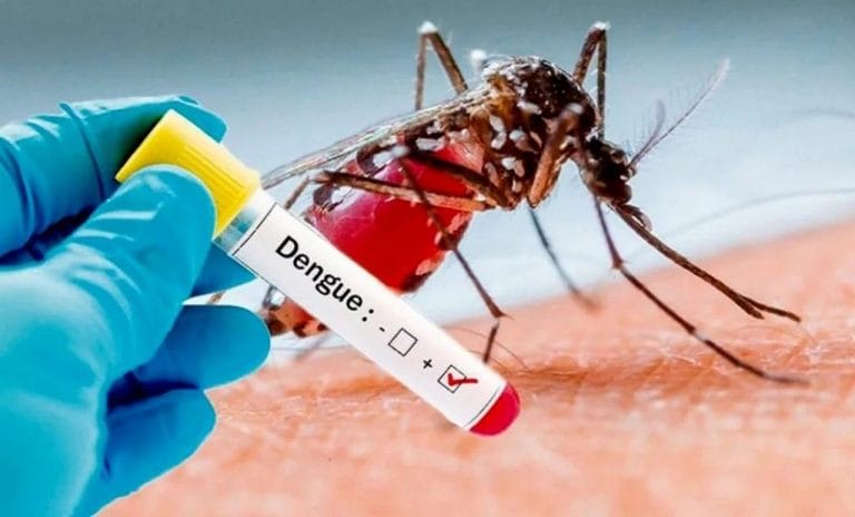 Ya son 29 los casos de dengue en La Pampa y en General Pico está la mayor cantidad