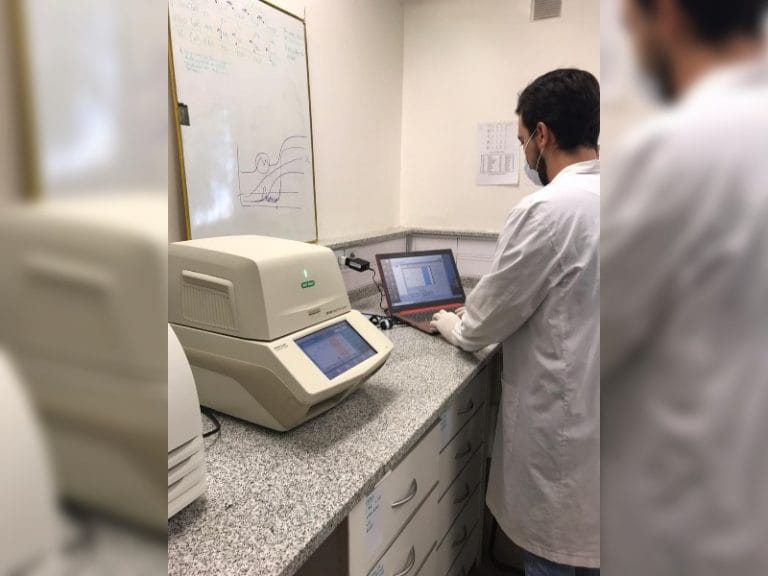 La facultad de Veterinarias puso a disposición un equipo de diagnóstico de enfermedades respiratorias