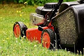 Cuarentena: en La Plata otorgarán un permiso especial para jardineros, parqueros y pileteros para evitar la propagación del dengue