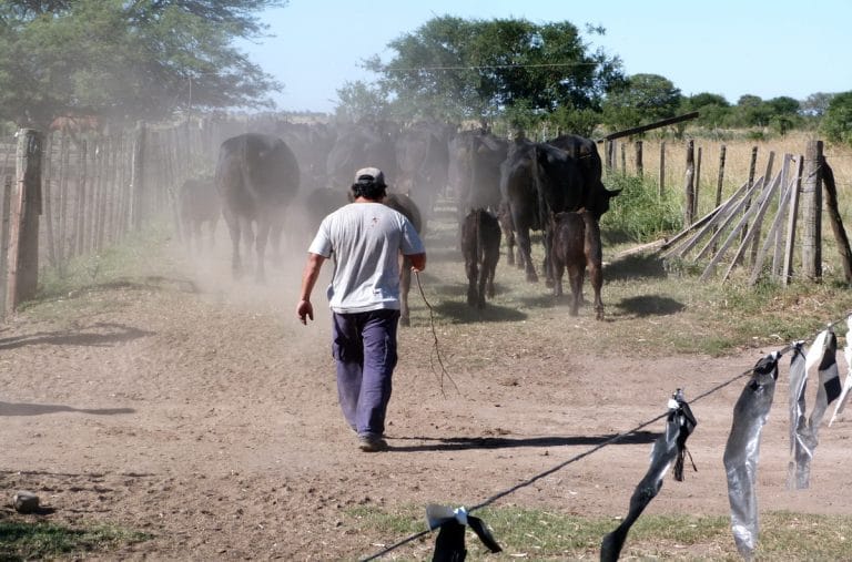 Aumentaron a 11.000 pesos la «Prestación por Desempleo» para los trabajadores rurales