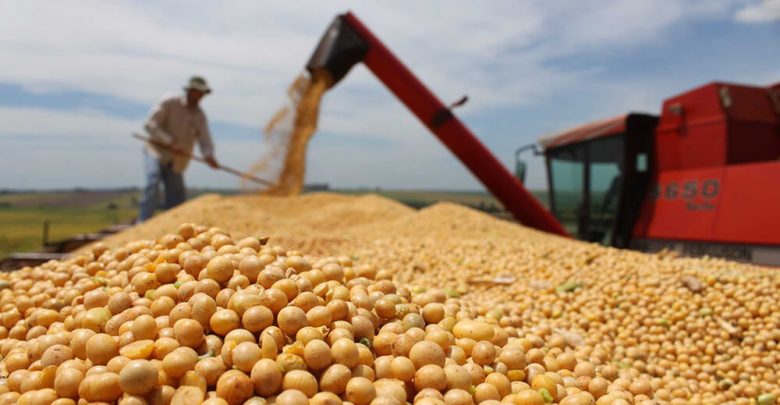 CARBAP denuncia que la quita de retenciones fue “un gran negocio para los exportadores” y no para el productor