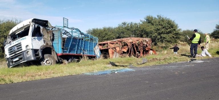 Un conductor de un camión jaula oriundo de Alta Italia volcó en la Ruta 14: El camionero sólo presentaba golpes leves y murieron cinco animales
