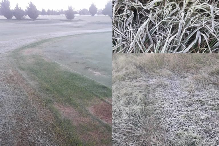 Llegó la “primera helada”: General Pico registró la temperatura más baja en lo que va del año