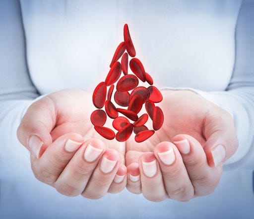 Hoy 17 de abril se conmemora el Día Mundial de la Hemofilia