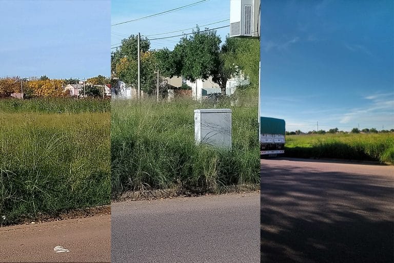 Vecinos piden nuevamente limpieza de terreno lindante a Barrio Empleados de Comercio