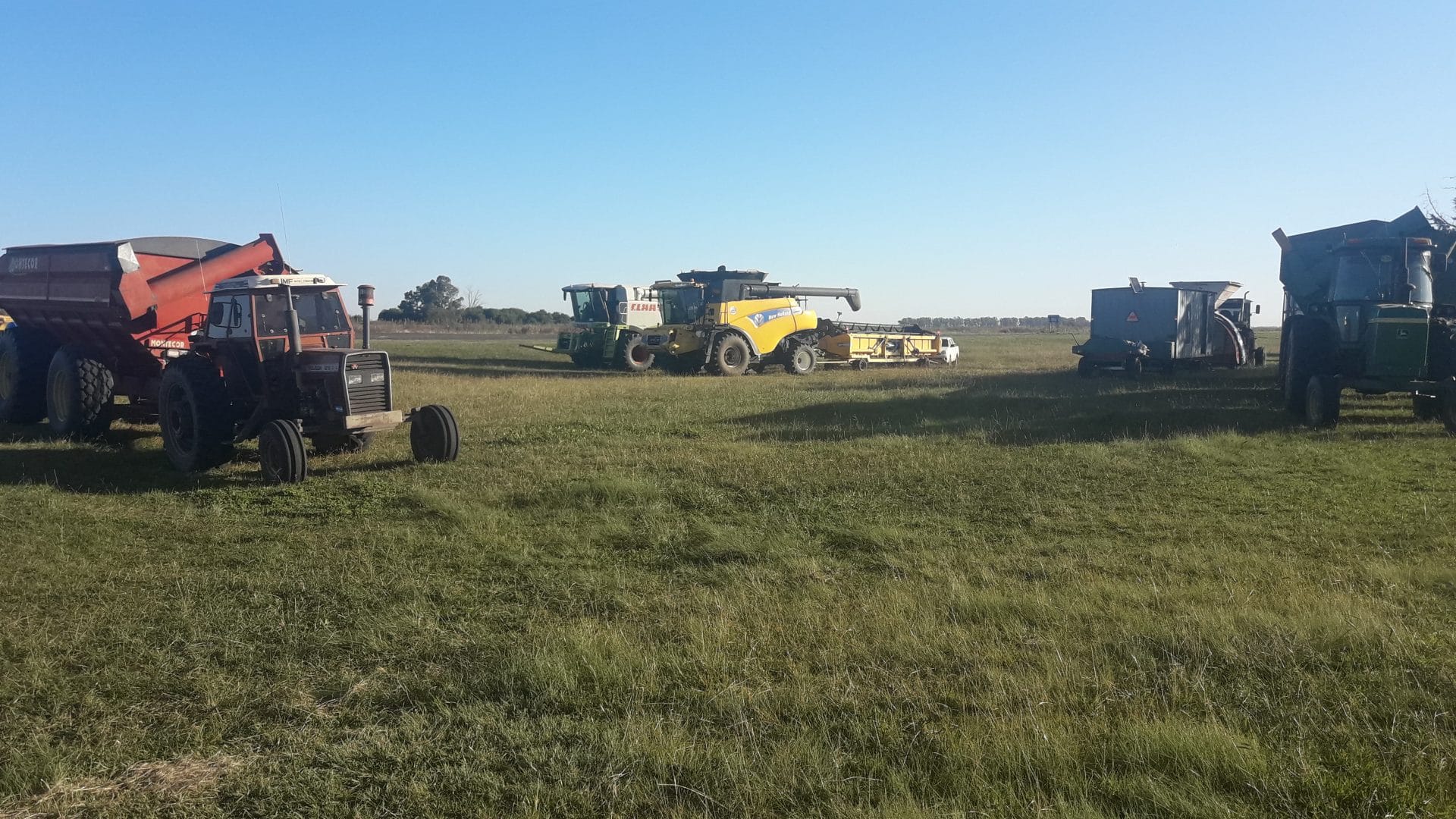 Hilario Lagos: demoran un convoy agrícola por circular sin permisos viales y falta de medidas de seguridad