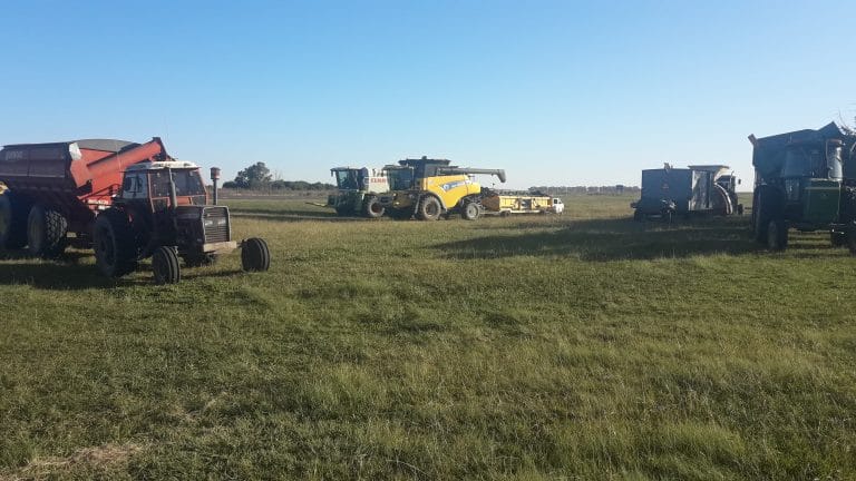 Hilario Lagos: demoran un convoy agrícola por circular sin permisos viales y falta de medidas de seguridad