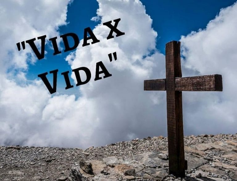“Vida x Vida Jóvenes”, una agrupación solidaria que busca ir en ayuda de quienes más lo necesitan