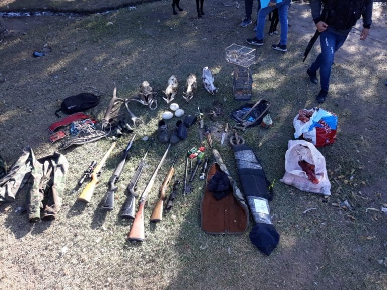 Luan Toro: demoran a cazadores furtivos y secuestran una cantidad importante de armas