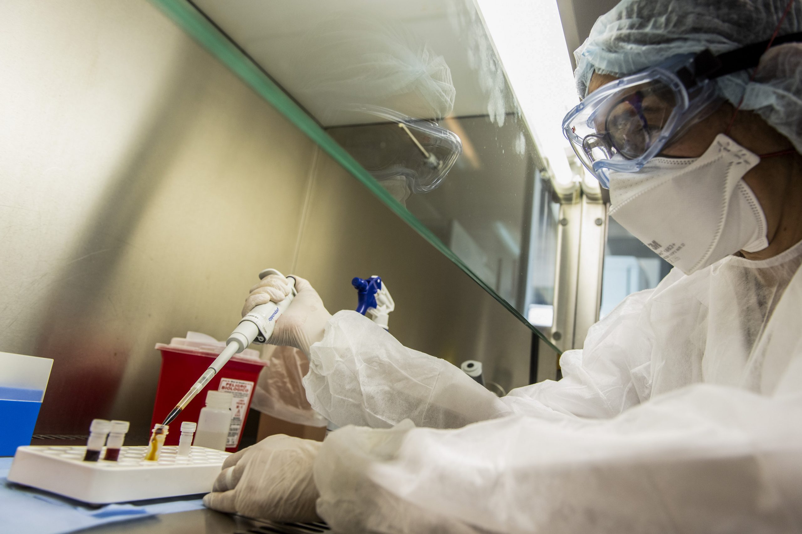 ORGULLO ARGENTINO: Investigadores del Malbran lograron secuenciar el genoma completo del coronavirus