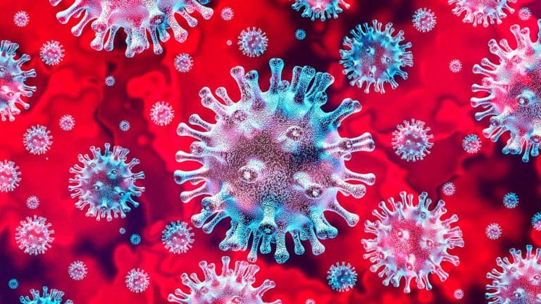 Descubrieron que un fármaco que ya se vende en el mundo elimina el coronavirus en 48 horas